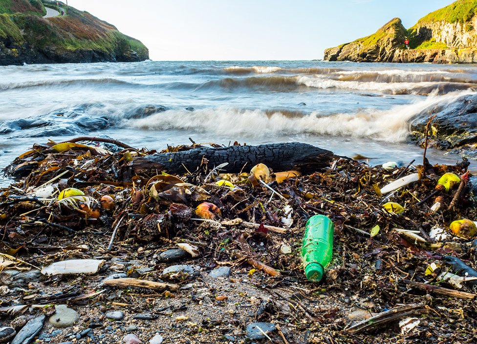 113600344_gettyimages-857001576 Plastik Kirliliği: Küresel Krizin Eşiğinde ve Umut Veren Çözüm Arayışları