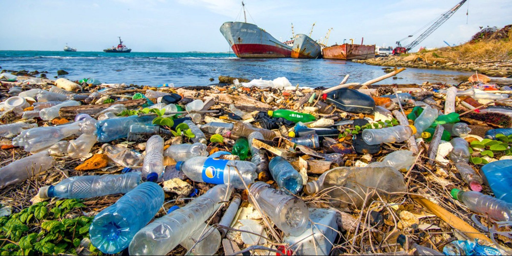 Plastik Kirliliği: Küresel Krizin Eşiğinde ve Umut Veren Çözüm Arayışları